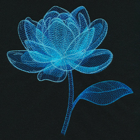 Luminous Bloom