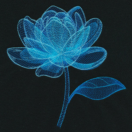 Luminous Bloom