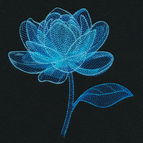 Luminous Bloom