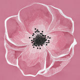 Peaceful Petals Poppy (Embossed)