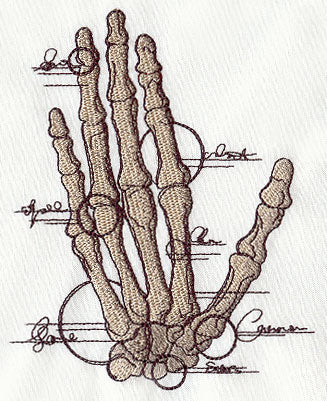 Anatomical Hand