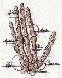 Anatomical Hand