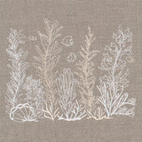 Undersea Botanicals