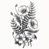 Botanical Poppies