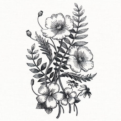 Botanical Poppies
