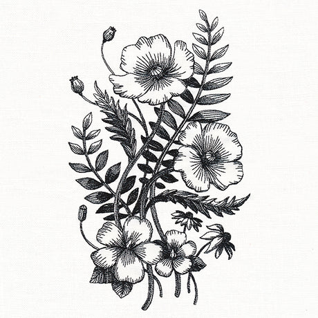 Botanical Poppies