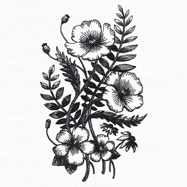 Botanical Poppies
