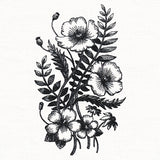 Botanical Poppies