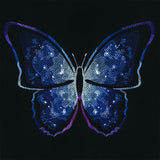 Celestial Butterfly