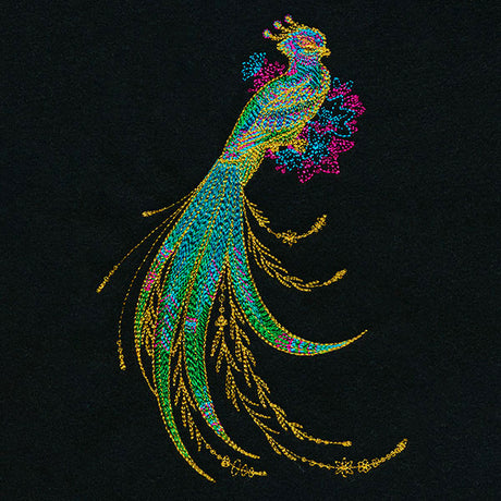 Shimmering Quetzal