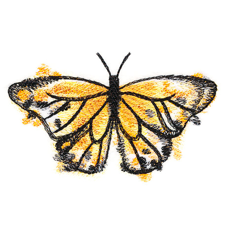 Nature's Palette Monarch