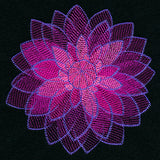 Wild Magic Dahlia