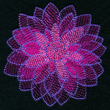 Wild Magic Dahlia