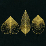 Sheer Delicate Leaf Trio