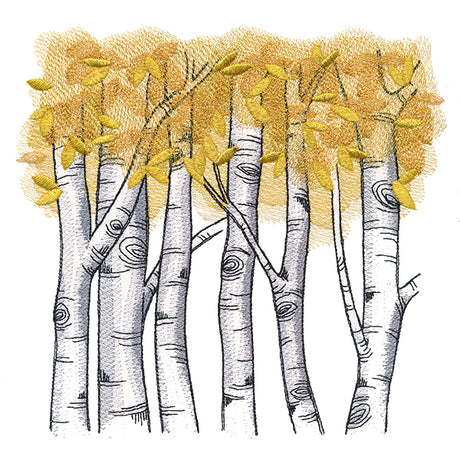 Autumn Birch Woods