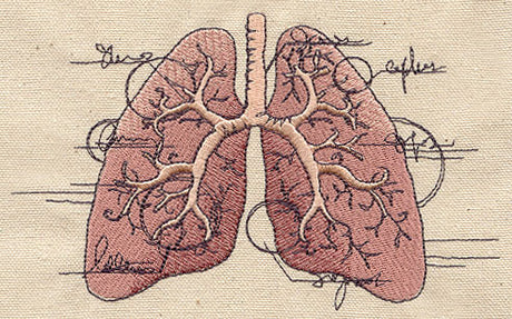 Anatomical Lungs