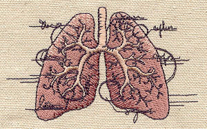 Anatomical Lungs
