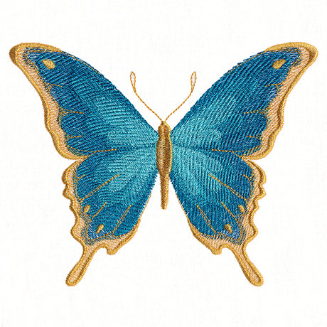 Everlasting Butterfly
