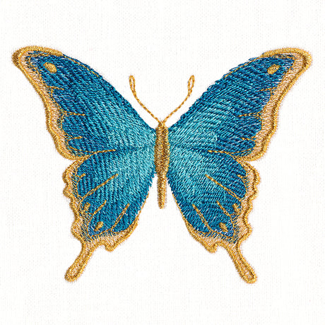 Everlasting Butterfly