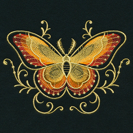 Gilded Mirage Moth