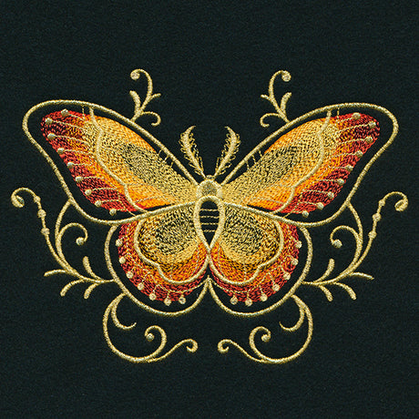 Gilded Mirage Moth