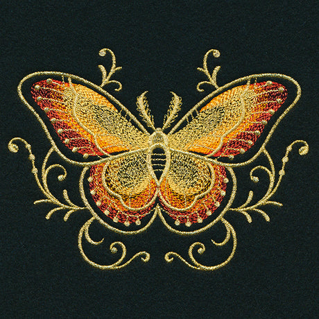 Gilded Mirage Moth