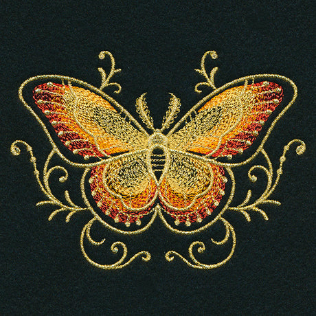 Gilded Mirage Moth