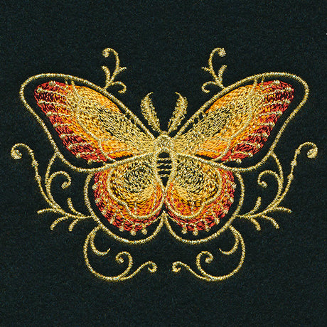 Gilded Mirage Moth