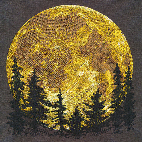 Moon on the Horizon