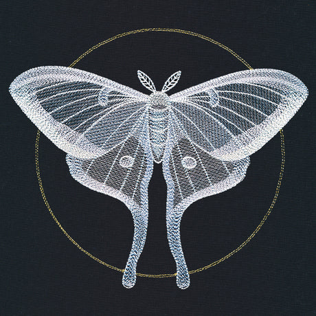 Ghostly Luna Moth