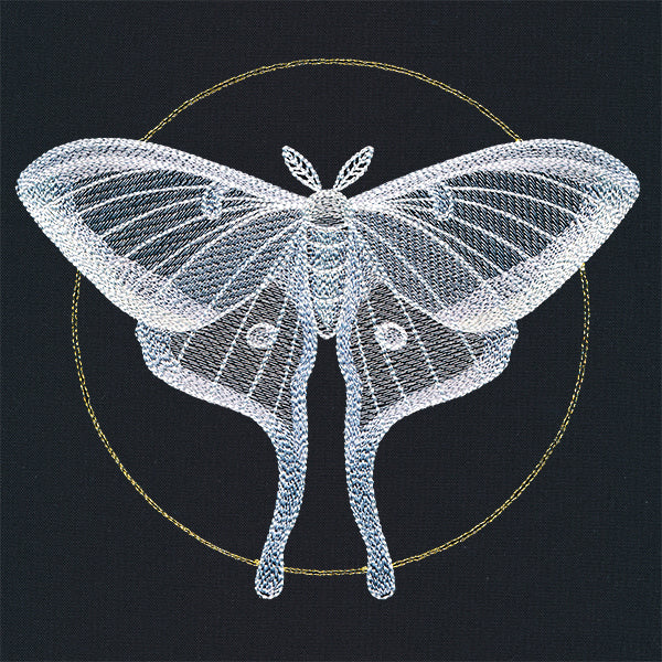 Ghostly Luna Moth