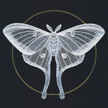 Ghostly Luna Moth
