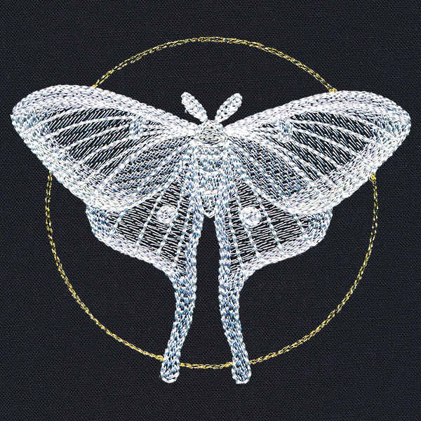 Ghostly Luna Moth