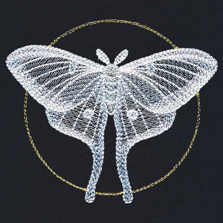 Ghostly Luna Moth