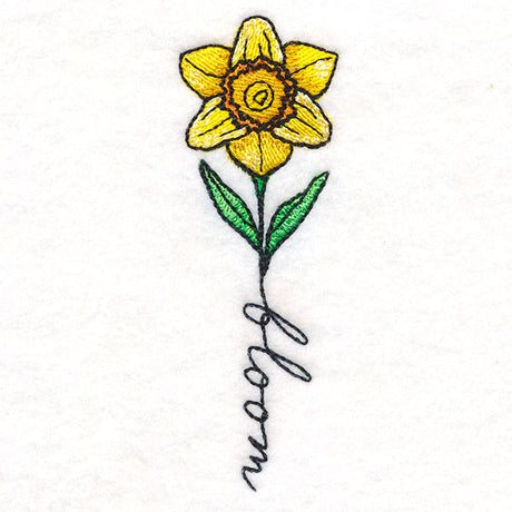 May Bloom Daffodil
