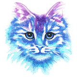 Color Theory Kitty