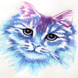 Color Theory Kitty
