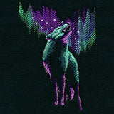 Spectacular Northern Lights Wolf