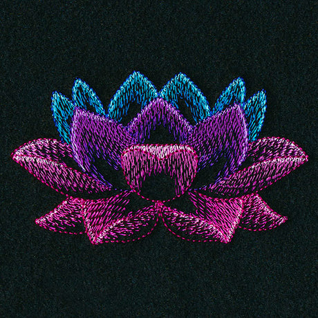 Sheer Beauty Lotus