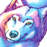 Dreamy Wolf