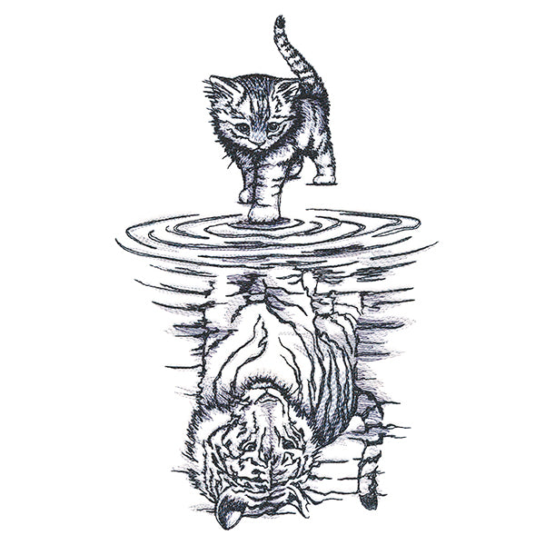 Feline Reflection