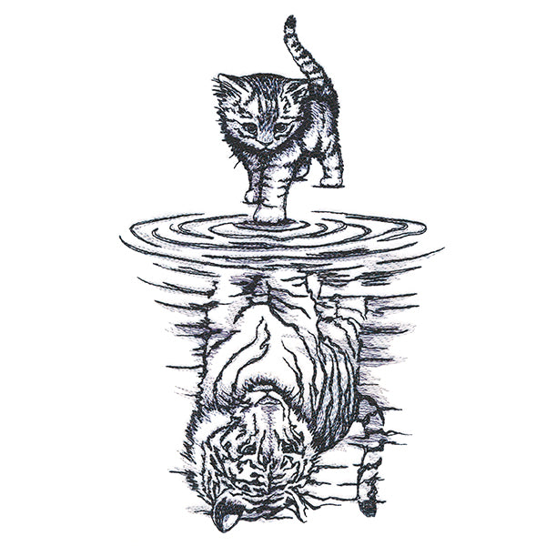 Feline Reflection