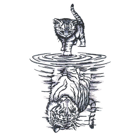 Feline Reflection