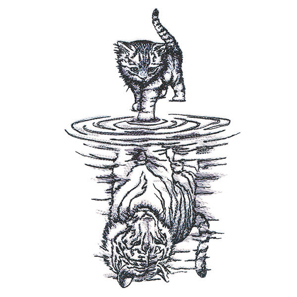 Feline Reflection