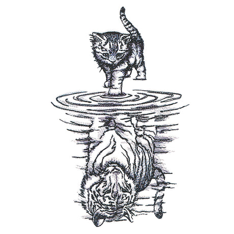 Feline Reflection