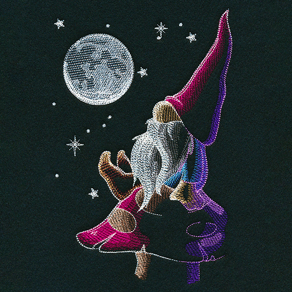 Moon Gazing Gnome
