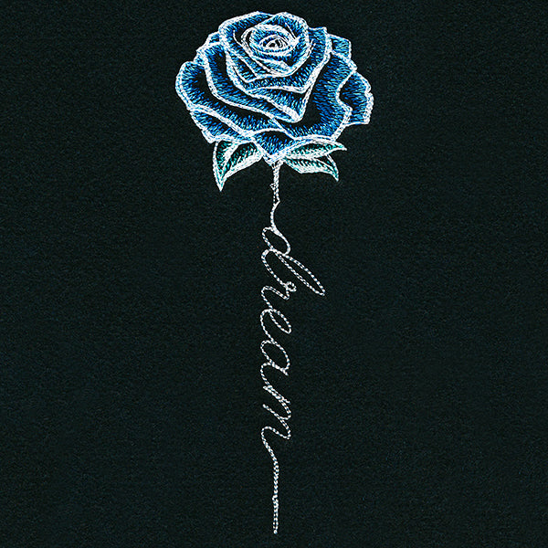 Dream Rose in Bloom