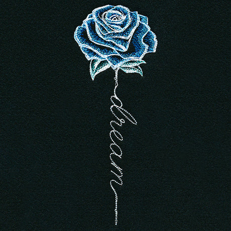 Dream Rose in Bloom