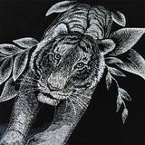 Enticing Tiger