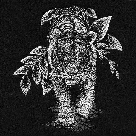 Enticing Tiger